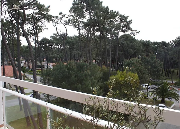 Our Sweet Flat By The * Viana do Castelo